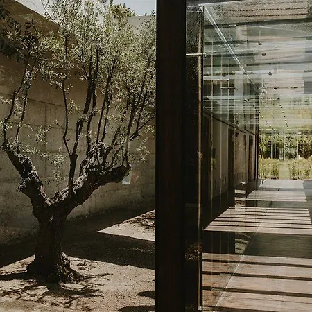 Areias Do Seixo Charm & Residences 5* A dos Cunhados