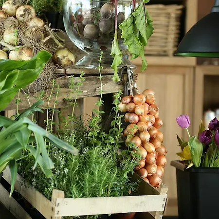 Areias Do Seixo Charm & Residences