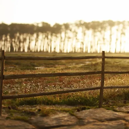 Hotel Areias Do Seixo Charm & Residences