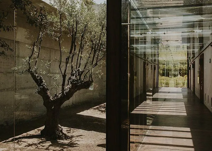 Areias Do Seixo Charm & Residences 5* ア・ドス・クニャードス