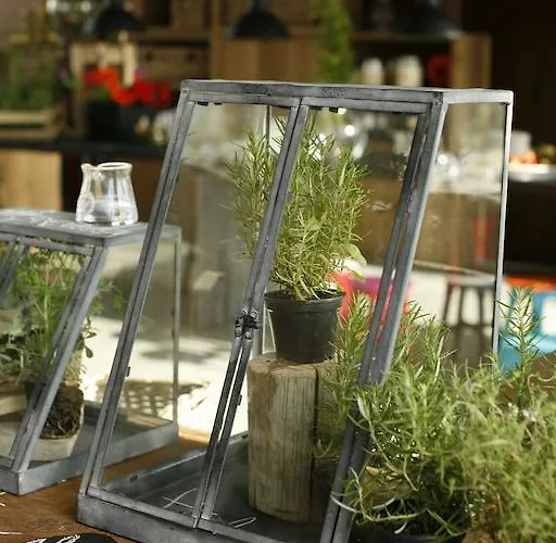 Areias Do Seixo Charm & Residences ア・ドス・クニャードス