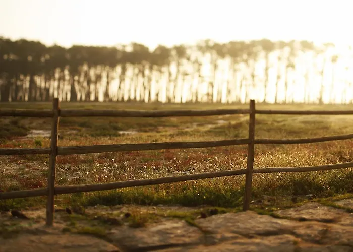 ホテル Areias Do Seixo Charm & Residences