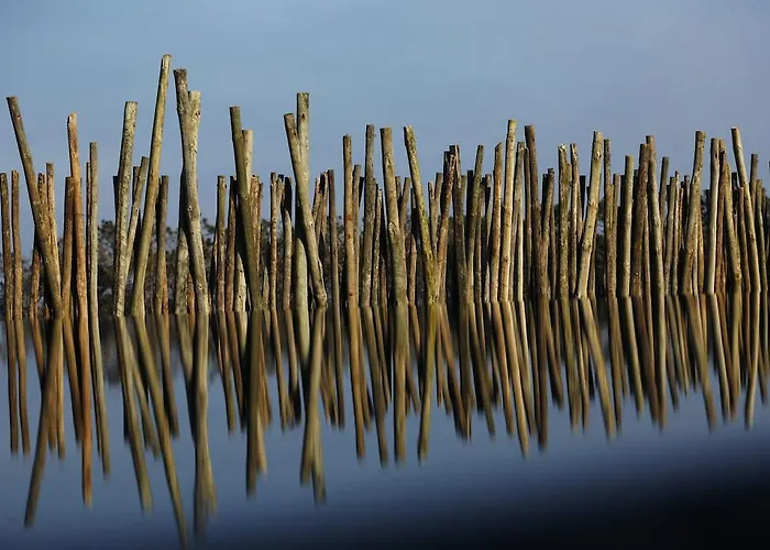 Areias Do Seixo Charm & Residences ア・ドス・クニャードス