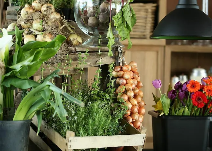 Areias Do Seixo Charm & Residences